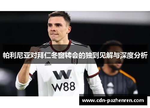 帕利尼亚对拜仁冬窗转会的独到见解与深度分析