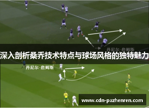深入剖析桑乔技术特点与球场风格的独特魅力