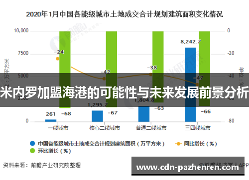 米内罗加盟海港的可能性与未来发展前景分析